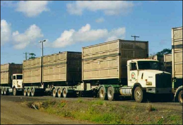 camion 0 � IMAGENES FOTOS